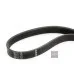 Пас генератора 030145933L (1987946062) для Skoda / VW / Audi / Seat (VAG)