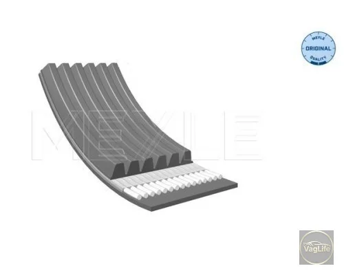 Пас генератора 038903137G (0500060906) для Skoda / VW / Audi / Seat (VAG)