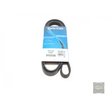 Пас генератора VW B6 / B7 / Jetta 2.5 Dayco