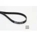 Пас генератора Fab II 1.4TSI 03C260849A (6PK1698) для Skoda / VW / Audi / Seat (VAG)