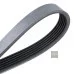 Пас генератора Oct 1.9 Tdi 038903137J (0500061660) для Skoda / VW / Audi / Seat (VAG)
