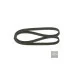 Пас генератора 06A260849C (1987946200) для Skoda / VW / Audi / Seat (VAG)