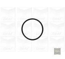 Помпа Fabia / Fabia II / A5 / Roomster / Caddy 3 / Golf 5 / B6 / Sharan / T5 1.9 / 2.0TDI Graf