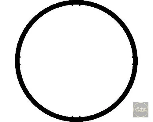 Прокладка коллектора впуск 036129717E (CO026238H) для Skoda / VW / Audi / Seat (VAG)