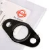 Прокладка трубки оливної 058145757C (EL631012) для Skoda / VW / Audi / Seat (VAG)