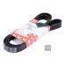 Пас генератора 03C260849A (FE28968) для Skoda / VW / Audi / Seat (VAG)