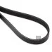 Пас генератора 06F260849E (FE28915) для Skoda / VW / Audi / Seat (VAG)