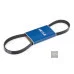 Пас генератора 03G903137A (0500060950) для Skoda / VW / Audi / Seat (VAG)