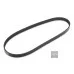 Пас генератора 03G903137A (0500060950) для Skoda / VW / Audi / Seat (VAG)