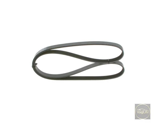 Пас генератора 06B903137E (1987946070) для Skoda / VW / Audi / Seat (VAG)