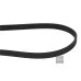 Пас генератора 06B903137E (1987946070) для Skoda / VW / Audi / Seat (VAG)