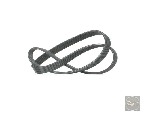 Пас генератора 038903137S (6DPK1215) для Skoda / VW / Audi / Seat (VAG)