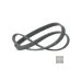 Пас генератора 038903137S (6DPK1215) для Skoda / VW / Audi / Seat (VAG)