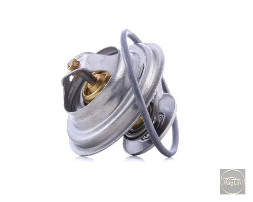 Термостат САМ 069121113 (FE18278) для Skoda / VW / Audi / Seat (VAG)