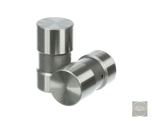 Гідрокомпенсатор 047109309 (3L109006) для Skoda / VW / Audi / Seat (VAG)