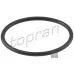 Кільце ущільн термостата 032121119H (HP100618) для Skoda / VW / Audi / Seat (VAG)