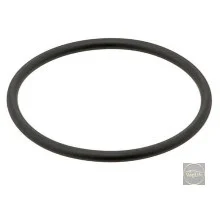 Кільце ущільнююче термостата кришки Octavia A5/SuperB II 1.8TSI Elring