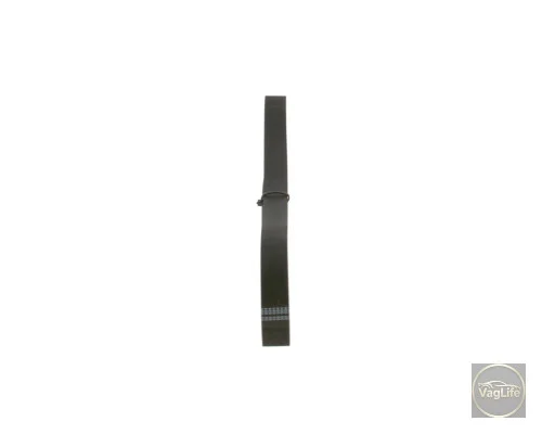 Пас генератора 038903137M (1987948318) для Skoda / VW / Audi / Seat (VAG)