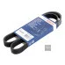 Пас генератора 06F260849E (1987947940) для Skoda / VW / Audi / Seat (VAG)