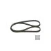 Пас генератора 06F260849E (1987947940) для Skoda / VW / Audi / Seat (VAG)
