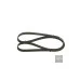 Пас генератора 06F260849E (1987947940) для Skoda / VW / Audi / Seat (VAG)