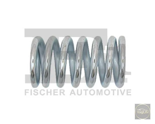 Пружинка резонатора 6U0253353A (FIS575901) для Skoda / VW / Audi / Seat (VAG)