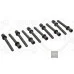 Болти головки 068103384A (EL819824) для Skoda / VW / Audi / Seat (VAG)