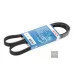 Пас генератора Fab 1.4 8V Fel 1.9D 028903137AP (1987946084) для Skoda / VW / Audi / Seat (VAG)