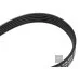 Пас генератора Fab 1.4 8V Fel 1.9D 028903137AP (1987946084) для Skoda / VW / Audi / Seat (VAG)
