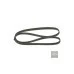 Пас генератора Fab 1.4 8V Fel 1.9D 028903137AP (1987946084) для Skoda / VW / Audi / Seat (VAG)
