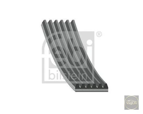 Пас генератора 03F260849A (37542) для Skoda / VW / Audi / Seat (VAG)
