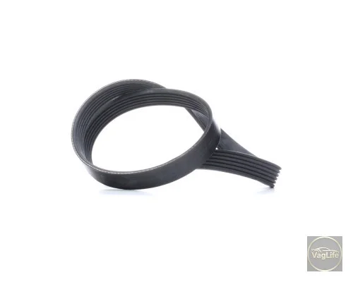 Пас генератора 03F260849A (37542) для Skoda / VW / Audi / Seat (VAG)