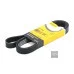 Пас генератора 038903137J (6PK1660) для Skoda / VW / Audi / Seat (VAG)