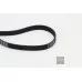 Пас генератора 038903137J (6PK1660) для Skoda / VW / Audi / Seat (VAG)
