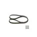 Пас генератора 038903137S (VB6DPK1215) для Skoda / VW / Audi / Seat (VAG)