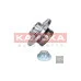 Підшипник маточини задній 6Q0598611 (5500023) для Skoda / VW / Audi / Seat (VAG)