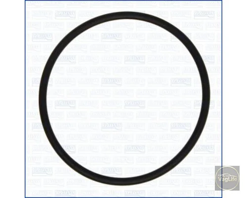 Прокладка дросельної заслонки N90073301 для Skoda / VW / Audi / Seat (VAG)