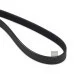 Пас генератора 6Q0260849A (6PK1736) для Skoda / VW / Audi / Seat (VAG)