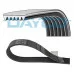 Пас генератора 6Q0260849A (6PK1736) для Skoda / VW / Audi / Seat (VAG)