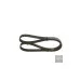 Пас генератора 06L903137A (1987948440) для Skoda / VW / Audi / Seat (VAG)