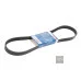 Пас генератора 036145933AJ (1987947842) для Skoda / VW / Audi / Seat (VAG)
