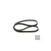 Пас генератора 036145933AJ (1987947842) для Skoda / VW / Audi / Seat (VAG)