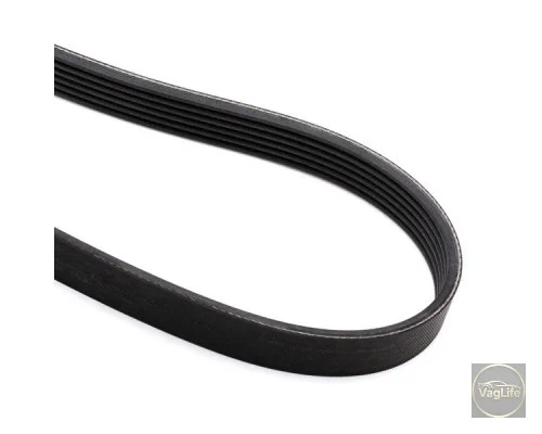 Пас генератора 03C260849A (1987947548) для Skoda / VW / Audi / Seat (VAG)