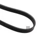 Пас генератора 03C260849A (1987947548) для Skoda / VW / Audi / Seat (VAG)