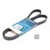 Пас генератора 038903137T (5PK1435) для Skoda / VW / Audi / Seat (VAG)