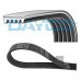 Пас генератора 038903137T (5PK1435) для Skoda / VW / Audi / Seat (VAG)