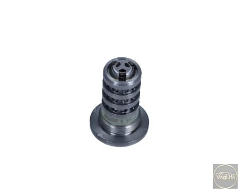 Клапан керування розподільчого валу 06L109257F для Skoda / VW / Audi / Seat (VAG)